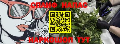 индика Шелехов