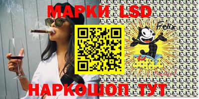 индика Шелехов