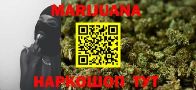 индика Шелехов