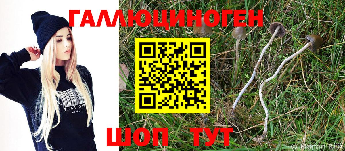 Ангарск  Псилоцибиновые грибы мицелий  Вход с VPN 